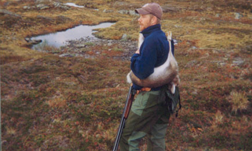 rypejakt-høylandet