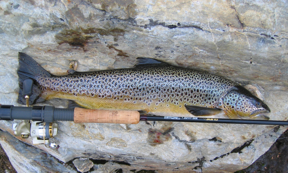 ørretfiske-hardangervidda