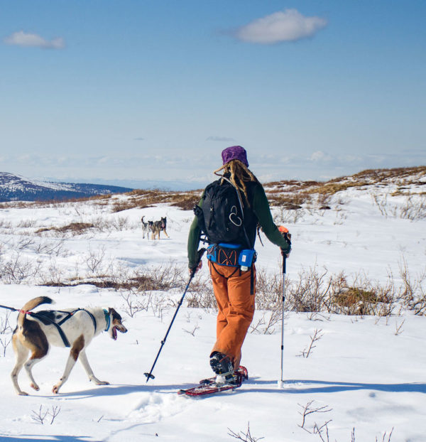 Non-Stop Dogwear Ferd Belte - Bilde 2