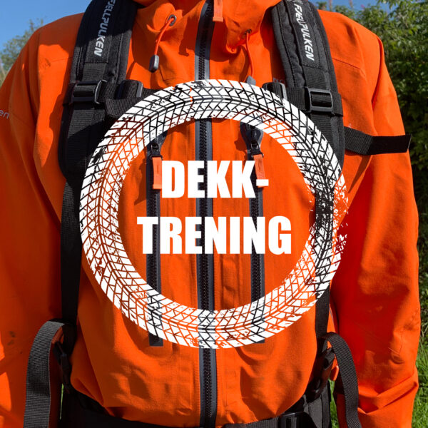 Fjellpulken-pro-dekktrening