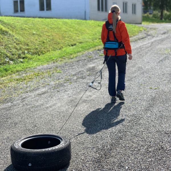 Fjellpulken Dekktreningspakke Comfort Sele og taudrag - Bilde 2